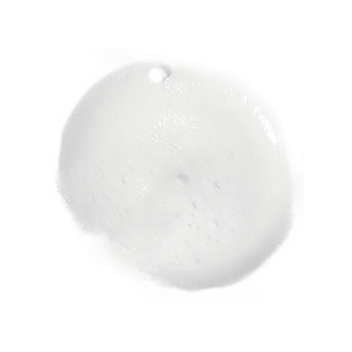 Artistry Skin Nutrition™ Renewing Foaming Cleanser
