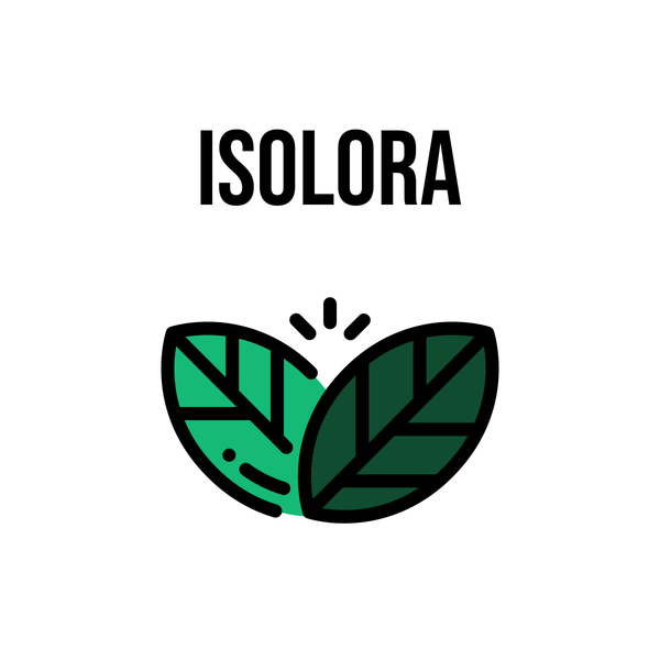 Isolora